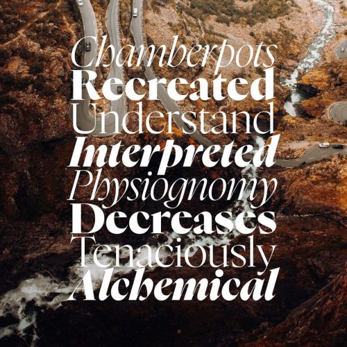 photo_2024-11-13_19-17-48 (2)