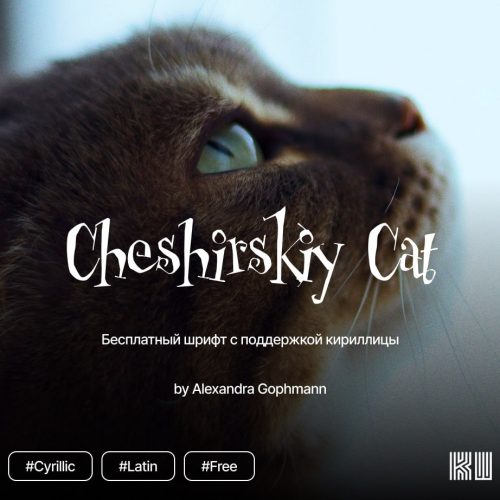 photo_2026-01-09_07-30-23